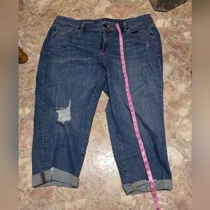 Lane Bryant Distressed Blue Ankle Jeans